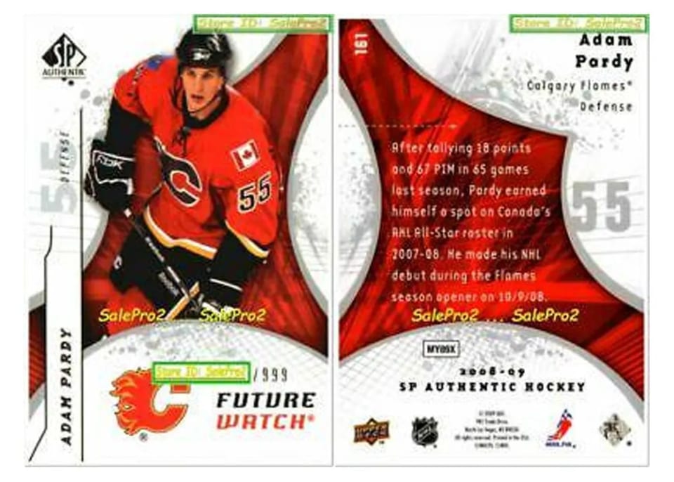 2008 SP Authentic Adam Pardy #161 card