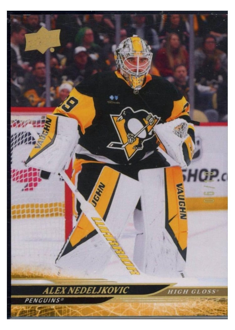 2024-25 Upper Deck Base Set Alex Nedeljkovic #600 card