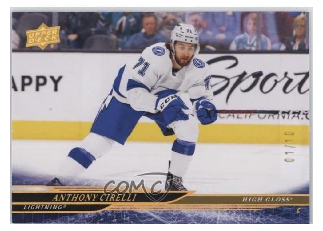 2024-25 Upper Deck Base Set Anthony Cirelli #406 card