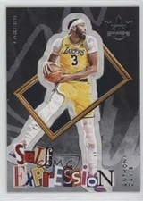 2024-25 Panini Court Kings Self Expression Anthony Davis #9 card
