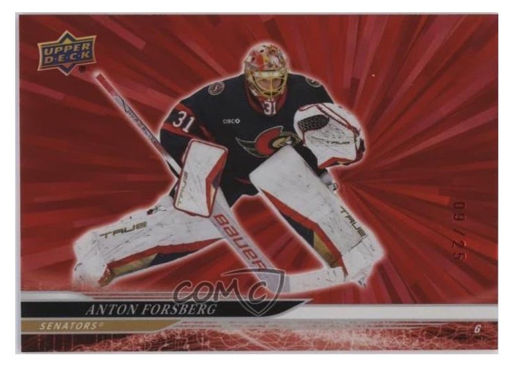 2024-25 Upper Deck Base Set Anton Forsberg #371 card