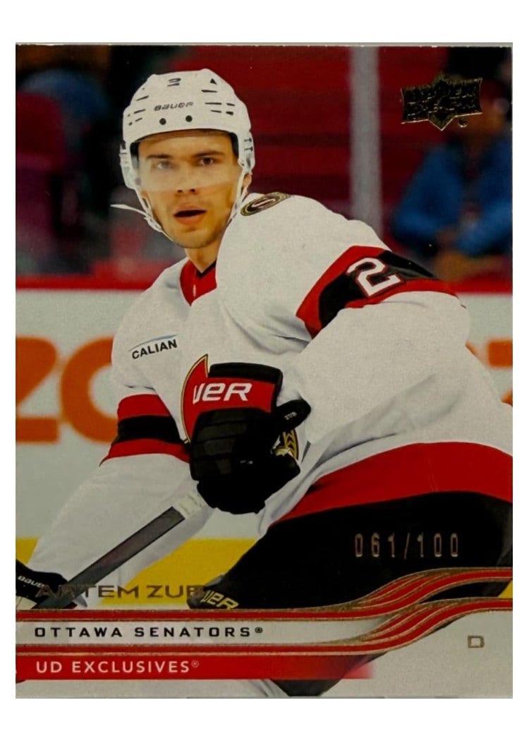 2025-26 Upper Deck Base Set Artem Zub #120 card