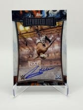 2025 Topps Exalted WWE Wrestling Elevated Ink Axiom #ELI-AXM card