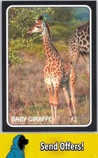 2024 Topps Heritage 1975 Topps Zoo's Who Stick-Ons Baby Giraffe #75Z-11 card