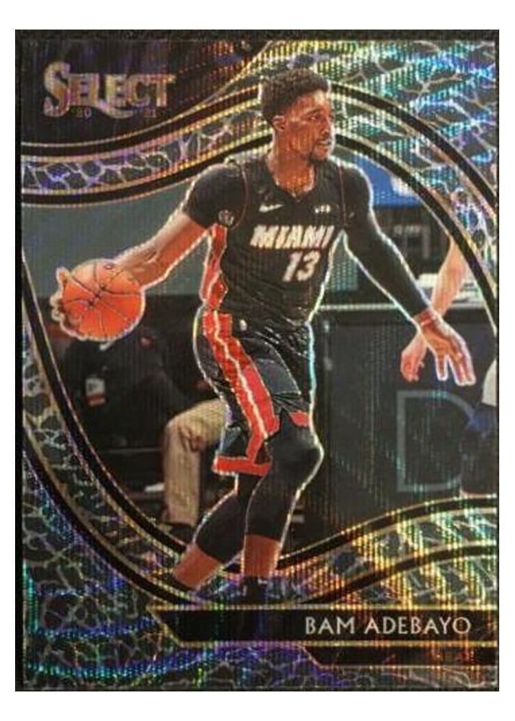 2020-21 Panini Select Base Set Bam Adebayo #211 card
