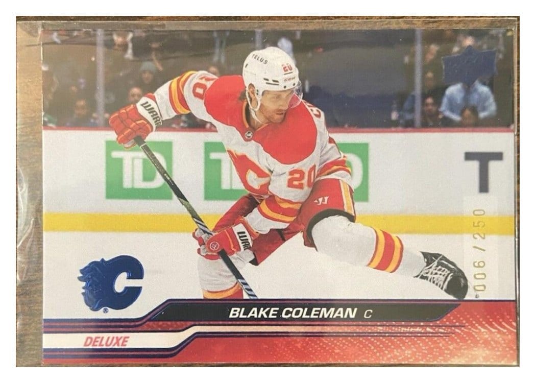 2023-24 Upper Deck Base Set Blake Coleman #521 card