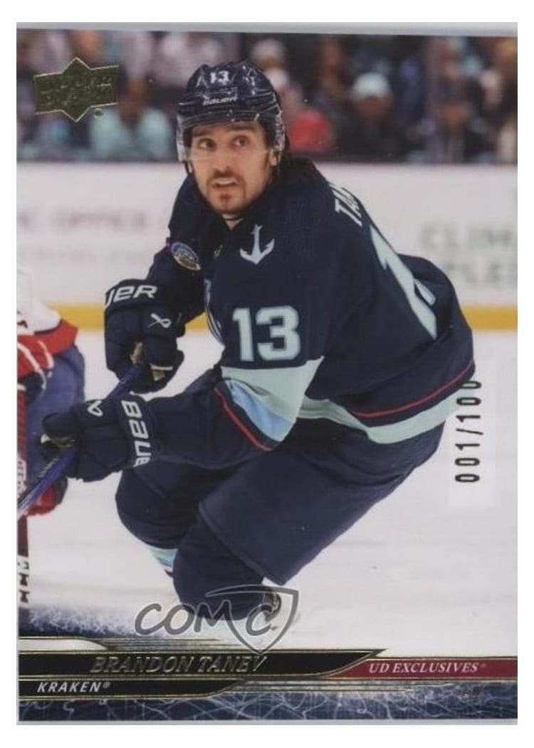 2024-25 Upper Deck Base Set Brandon Tanev #392 card