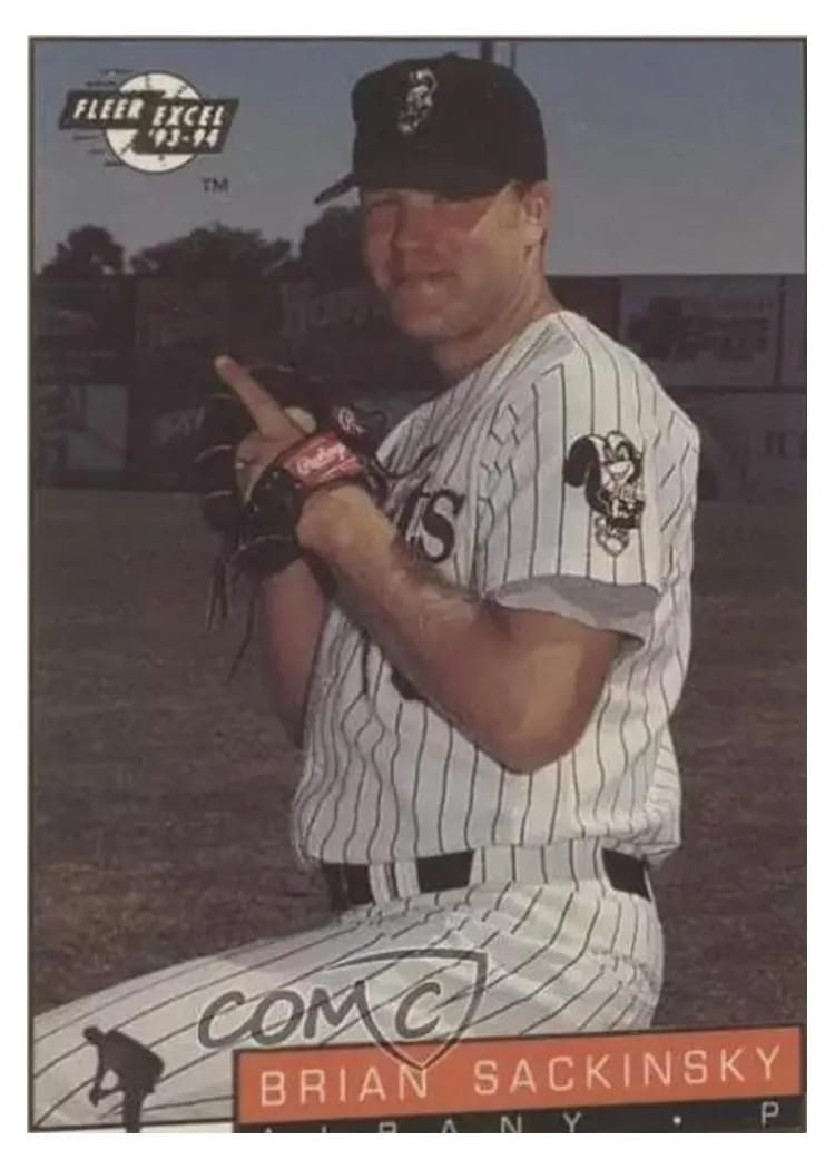 1993 Fleer Excel BRIAN SACKINSKY #15 card