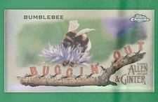2020 Topps Allen & Ginter Chrome Buggin' Out! Mini Buggin' Out: Bumblebee Mini #MBOC-15 card