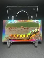 2020 Topps Allen & Ginter Chrome Buggin' Out! Mini Buggin' Out: Fire Ant Mini #MBOC-16 card