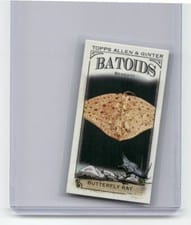 2024 Topps Allen & Ginter Mini Batoids Beneath Butterfly Ray #RITW-9 card