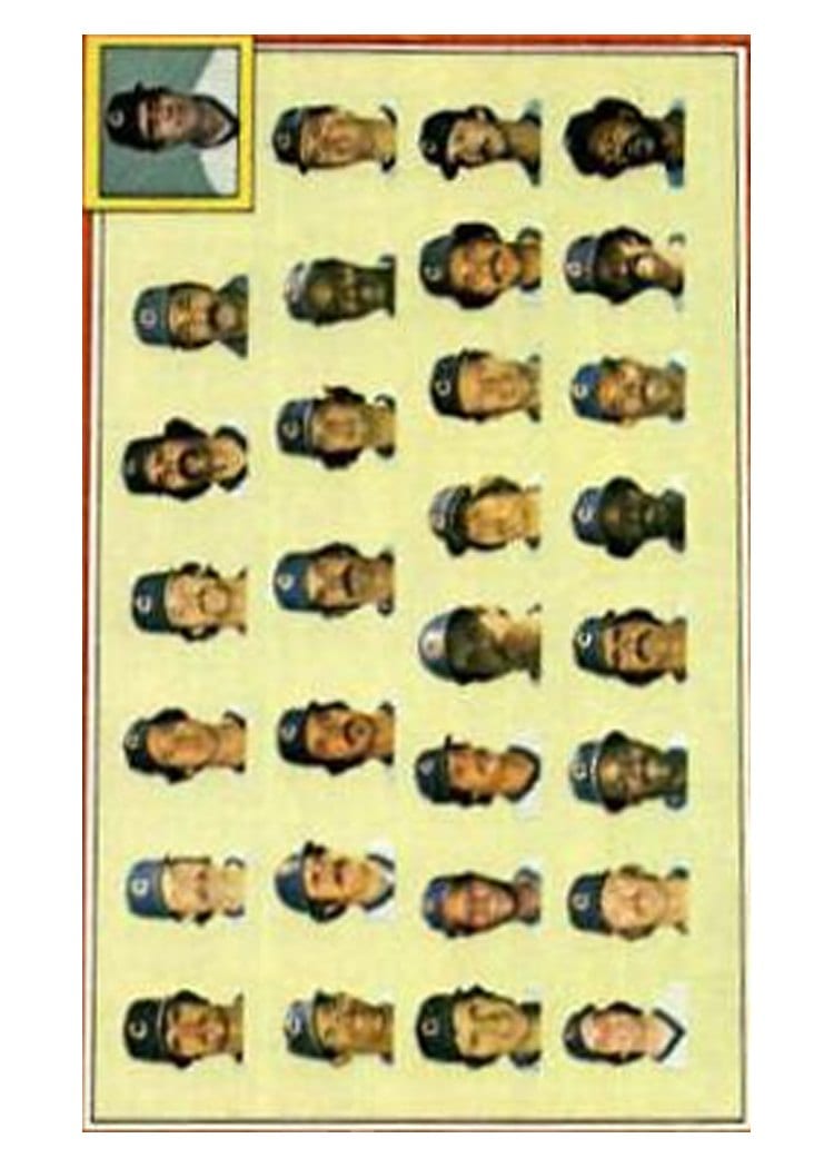 1981 Topps Chicago Cubs / Joe Amalfitano #676 card