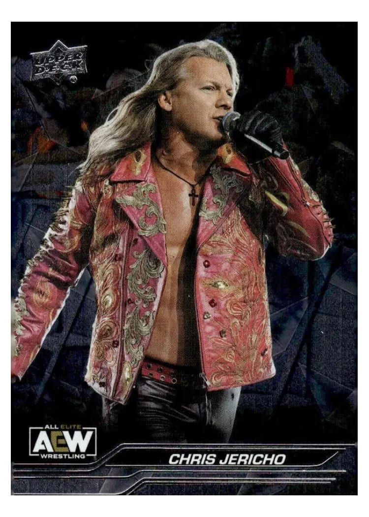 2024 Upper Deck AEW Chris Jericho #5 card
