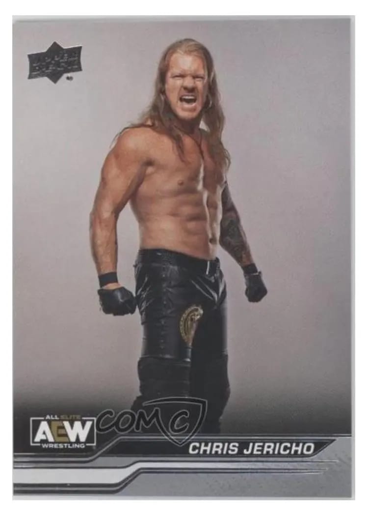 2024 Upper Deck AEW Chris Jericho #5 card