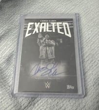 2025 Topps Exalted WWE Wrestling Black and White Signatures Chris Sabin #BWS-CSN card
