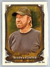 2024 Topps Allen & Ginter Chuck Norris #255 card