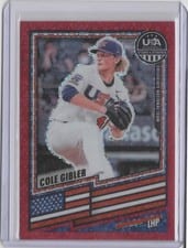 2026 Panini Stars and Stripes Prizm USA Cole Gibler #197 card