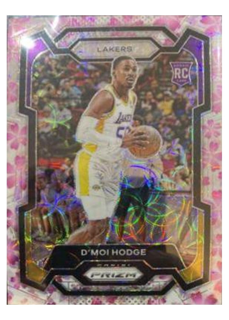 2023-24 Panini Prizm Base Set D'Moi Hodge #298 card