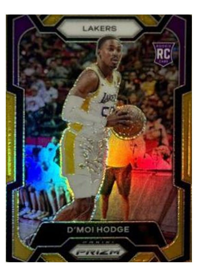 2023-24 Panini Prizm Base Set D'Moi Hodge #298 card