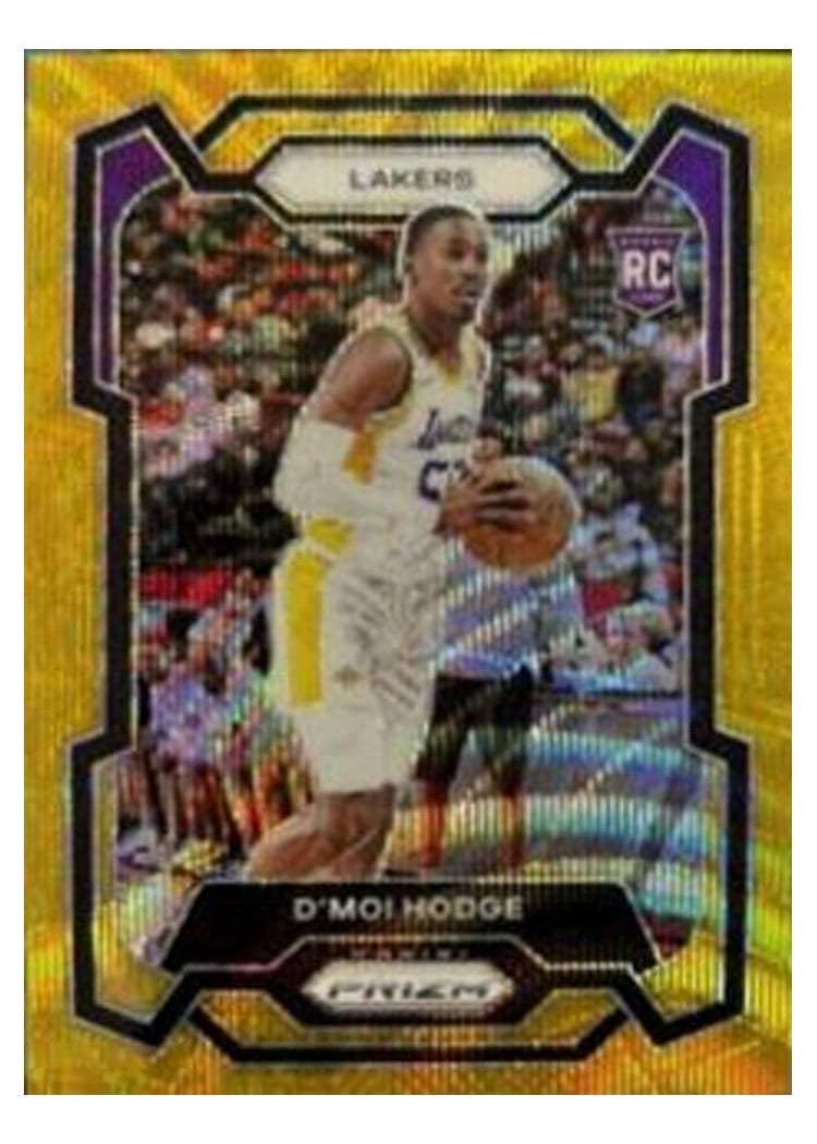 2023-24 Panini Prizm Base Set D'Moi Hodge #298 card