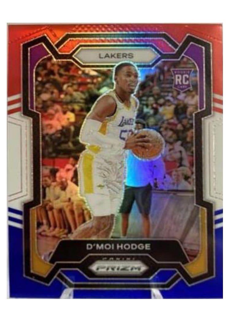 2023-24 Panini Prizm Base Set D'Moi Hodge #298 card