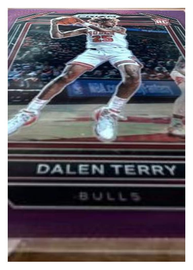 2022-23 Panini Prizm Base Set Dalen Terry #240 card
