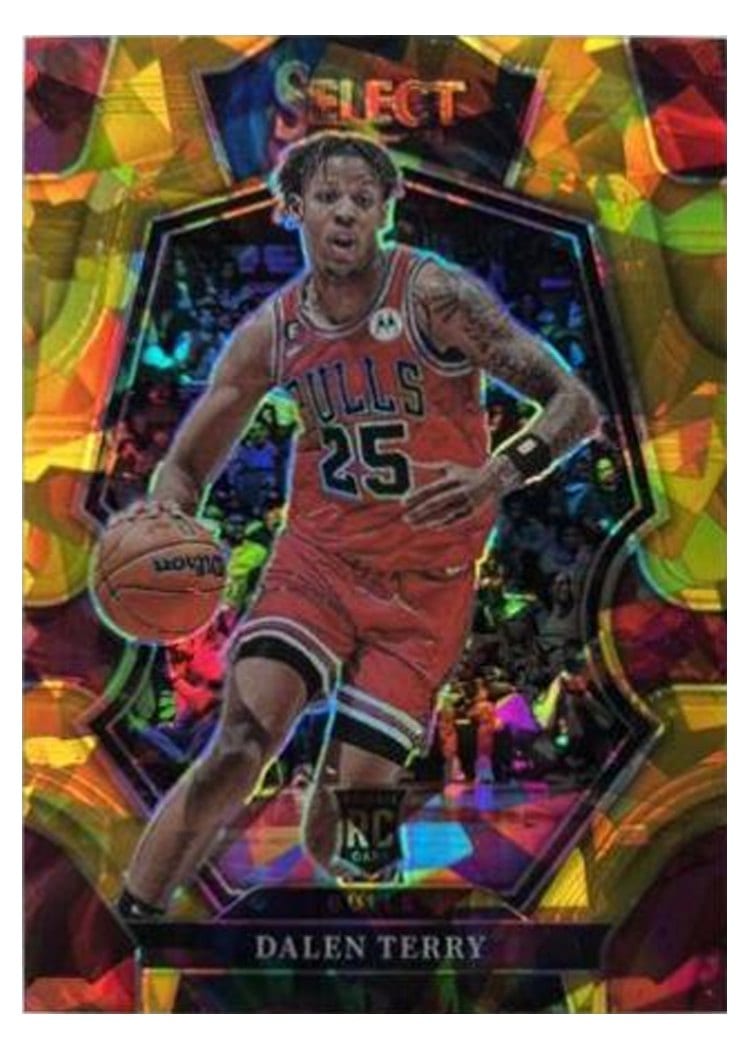 2022-23 Panini Select Base Set Dalen Terry #188 card