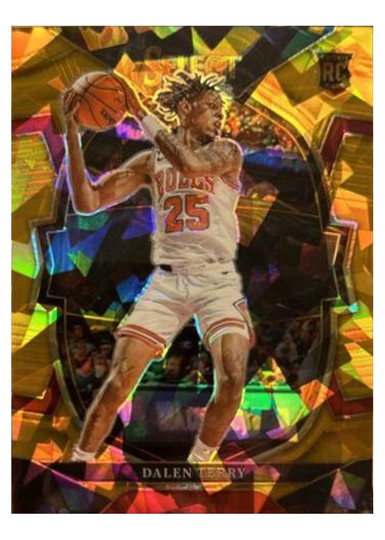 2022-23 Panini Select Base Set Dalen Terry #89 card