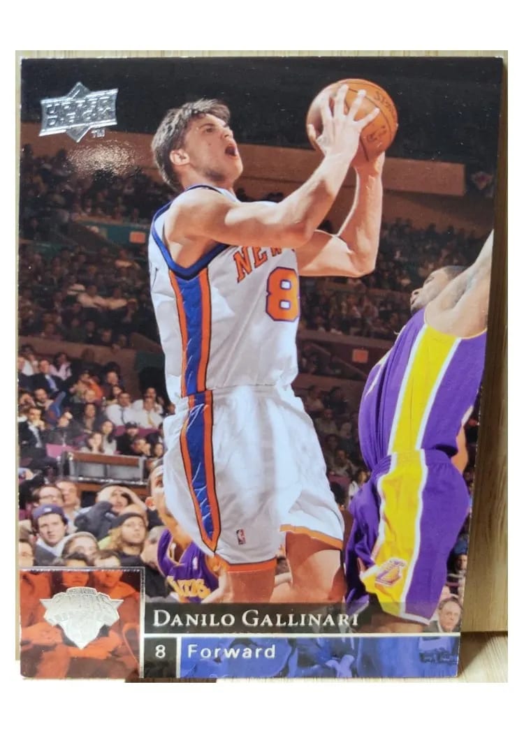 2009 Upper Deck Danilo Gallinari #133 card