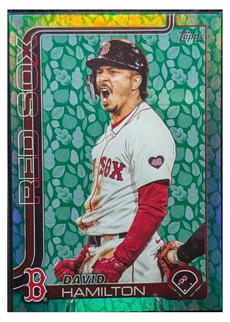 2025 Topps Base Set David Hamilton #199 card