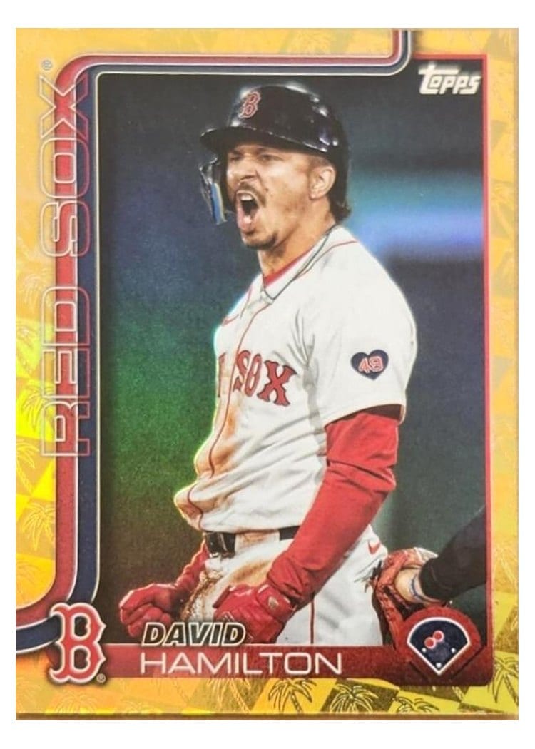 2025 Topps Base Set David Hamilton #199 card