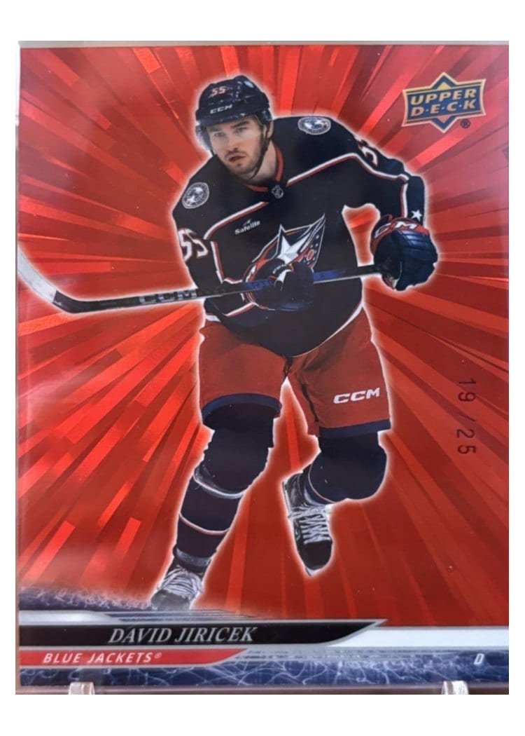 2024-25 Upper Deck Base Set David Jiricek #294 card