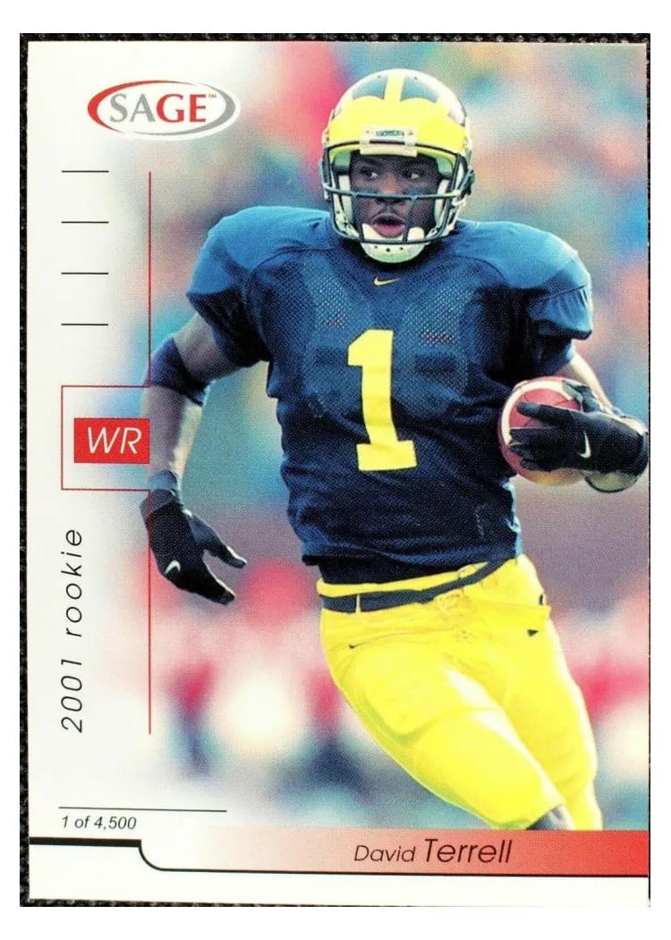 2001 Sage David Terrell #43 card