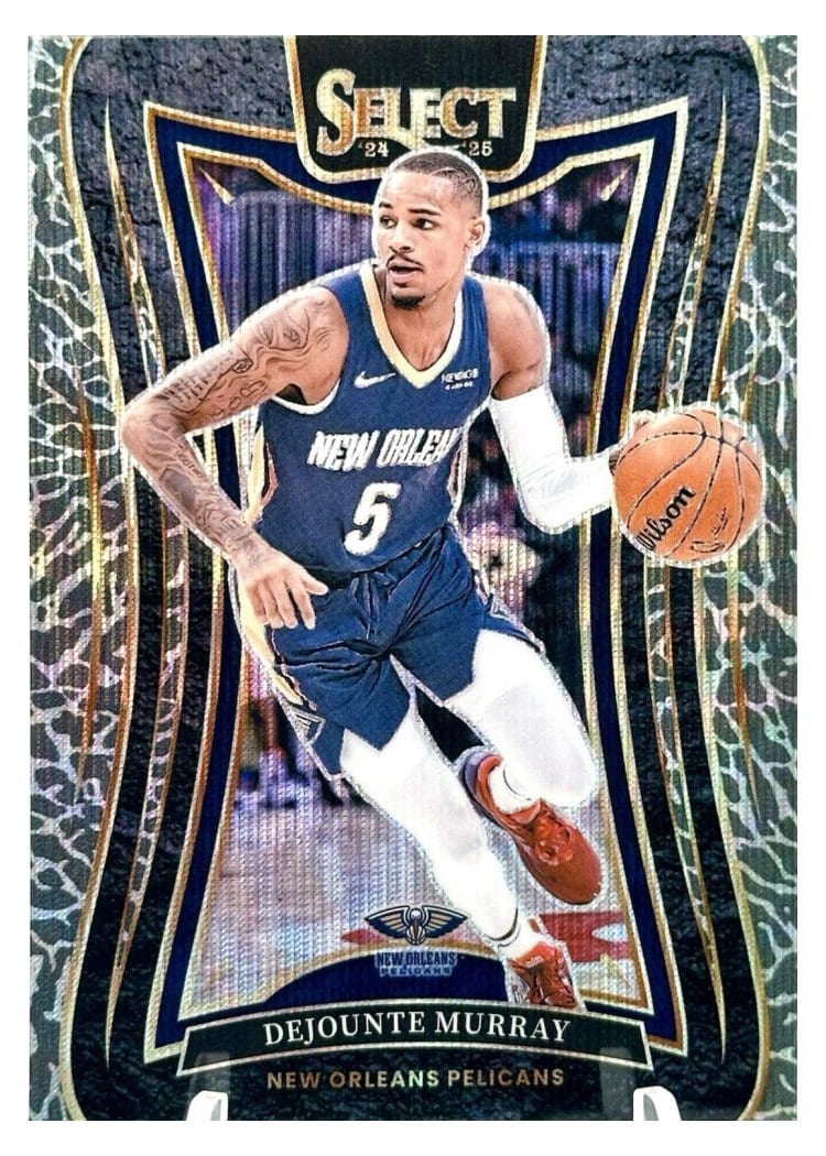 2024-25 Panini Select Base Set Dejounte Murray #13 card