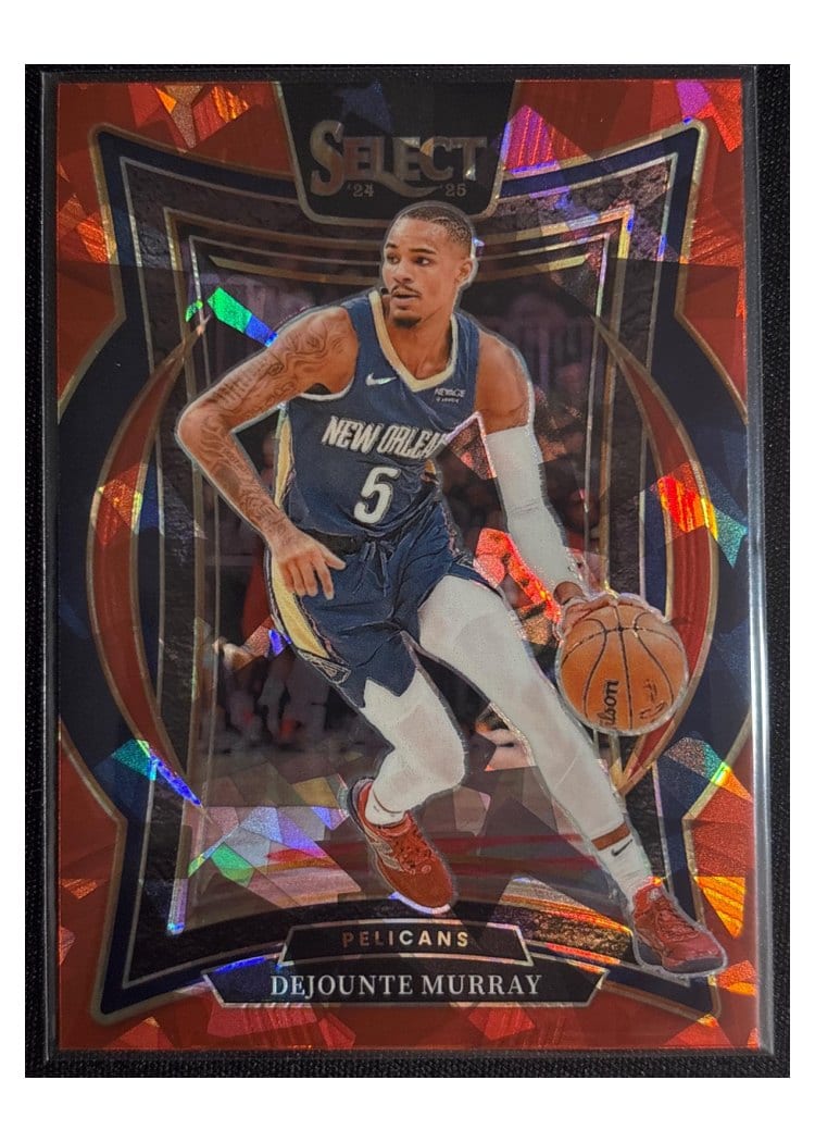 2024-25 Panini Select Base Set Dejounte Murray #13 card