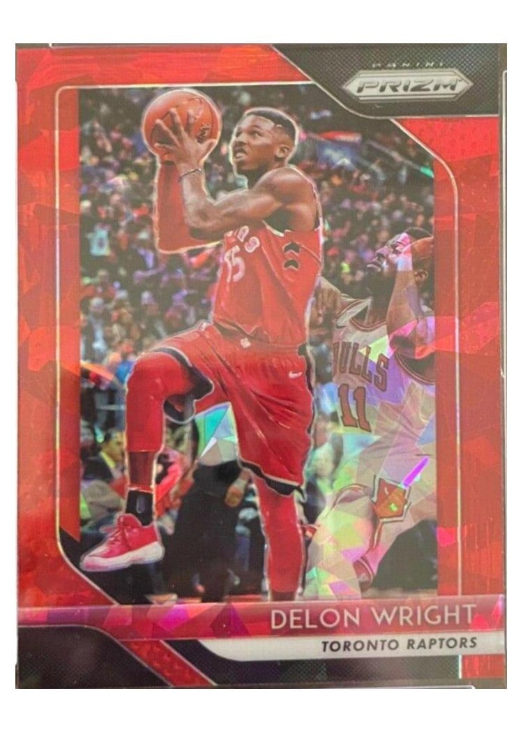 2018-19 Panini Prizm Base Set Delon Wright #113 card