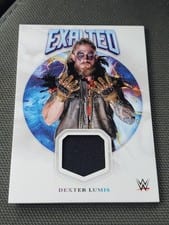 2025 Topps Exalted WWE Wrestling Exalted Relics Dexter Lumis #ER-DLS card