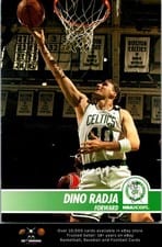 1994-95 Hoops Base Set Dino Radja #14 card