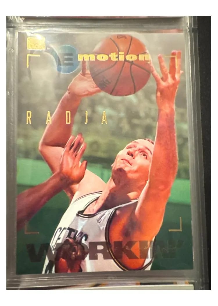 1994 E Motion Dino Radja #6 card
