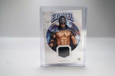 2025 Topps Exalted WWE Wrestling Exalted Relics Dragon Lee #ER-DLE card