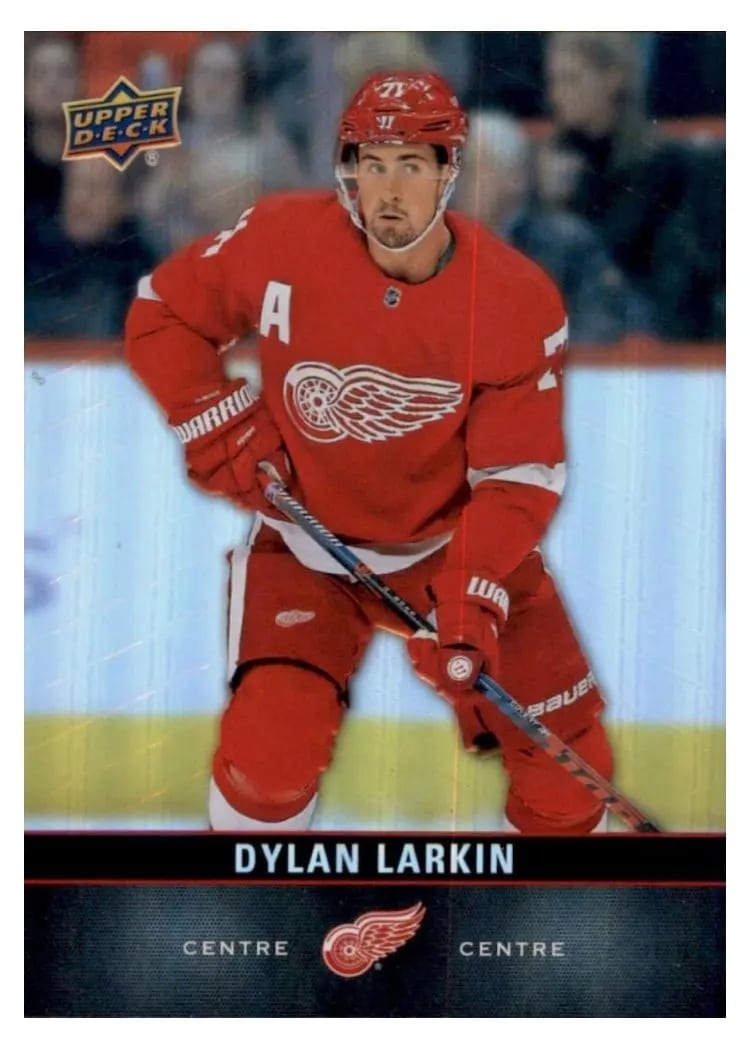 2019 Upper Deck Tim Hortons Dylan Larkin #110 card