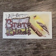 2025 Topps Allen & Ginter State Birds (Minis) Eastern Goldfinch - Iowa #SB-15 card
