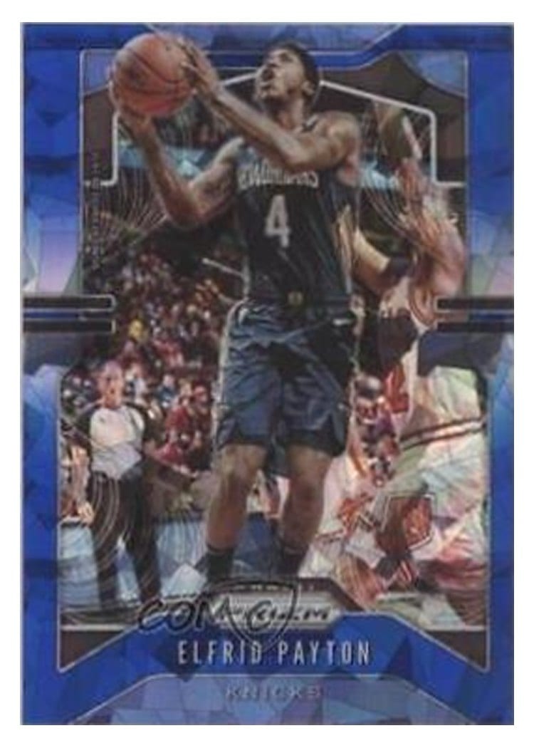 2019-20 Panini Prizm Base Set Elfrid Payton #242 card