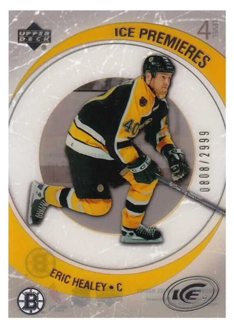 2005 Upper Deck Ice Eric Healey #224 card