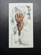 2025 Topps Allen & Ginter 50 Fish From Global Waters (Minis) Fangtooth #FGW-13 card