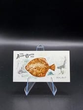 2025 Topps Allen & Ginter 50 Fish From Global Waters (Minis) Flying Fish #FGW-17 card