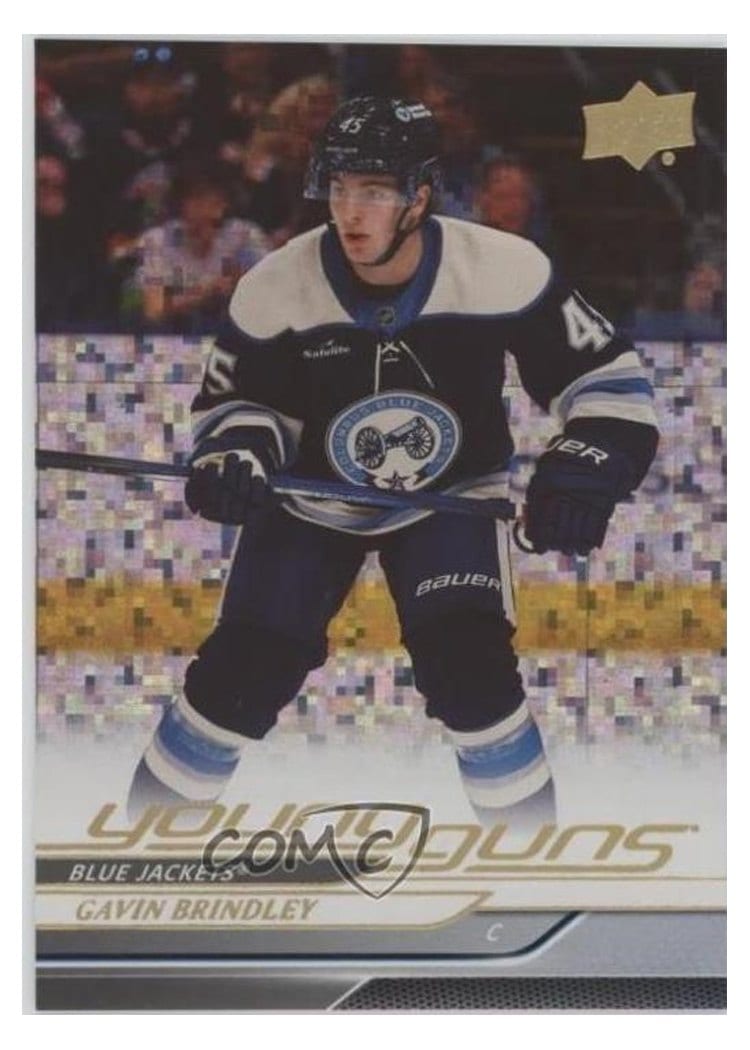 2024-25 Upper Deck Base Set Gavin Brindley #207 card