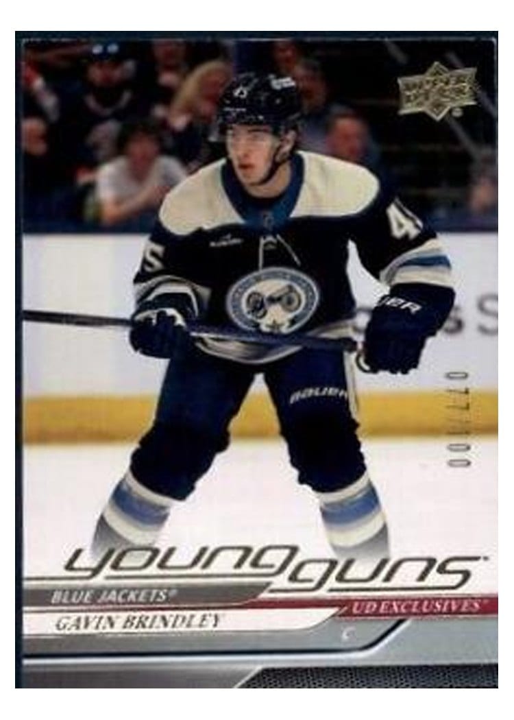2024-25 Upper Deck Base Set Gavin Brindley #207 card