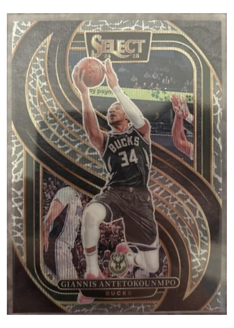 2024 Panini Select Giannis Antetokounmpo #137 card