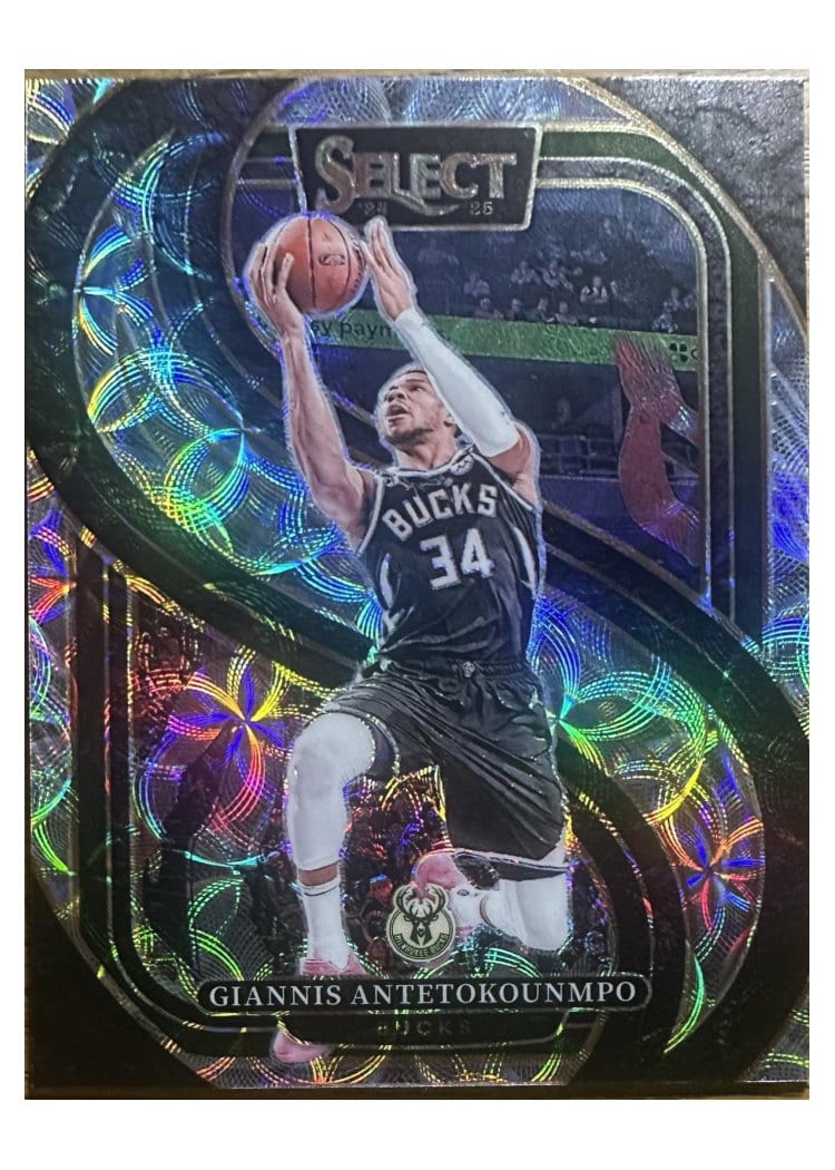 2024 Panini Select Giannis Antetokounmpo #137 card